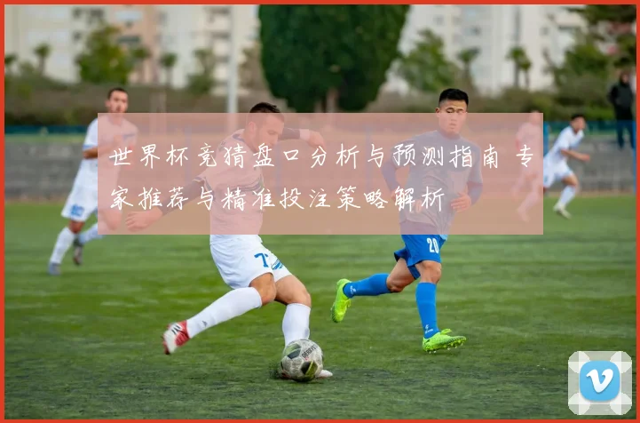 世界杯竞猜盘口分析与预测指南 专家推荐与精准投注策略解析