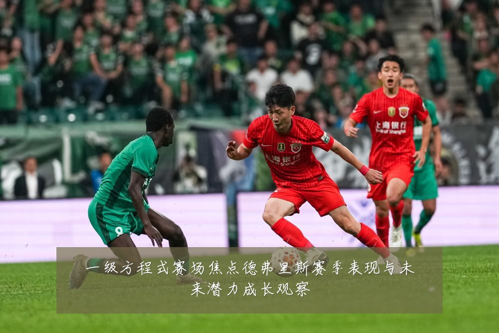 一级方程式赛场焦点德弗里斯赛季表现与未来潜力成长观察