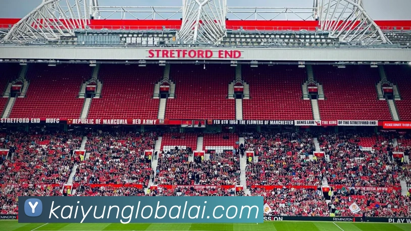 开云平台展示图